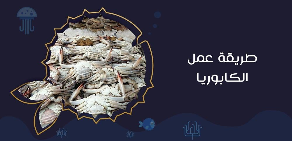 طريقة عمل الكابوريا