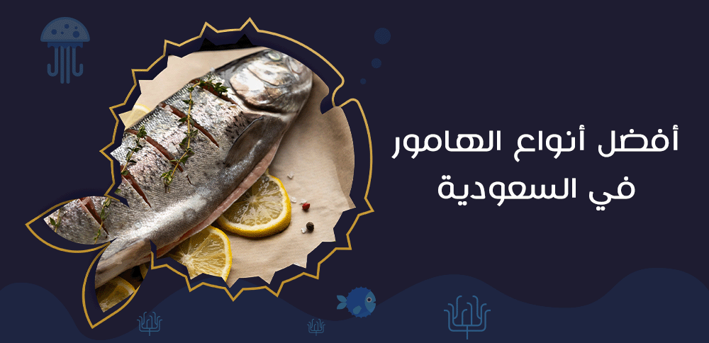 أفضل أنواع الهامور في السعودية