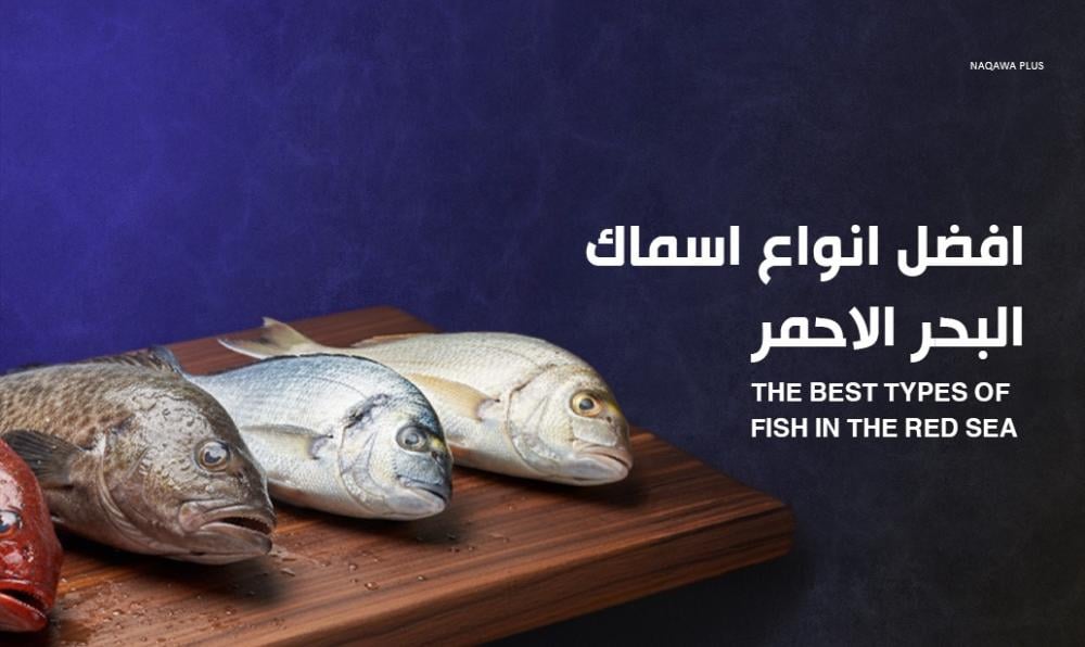 افضل اسماك البحر الاحمر للاكل | قائمة بألذ وأغنى الخيارات الغذائية
