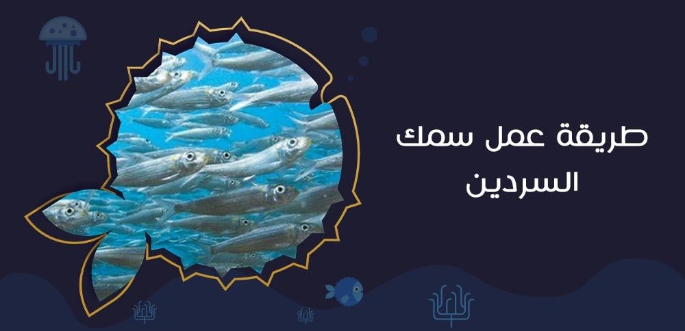 طريقة عمل سمك السردين