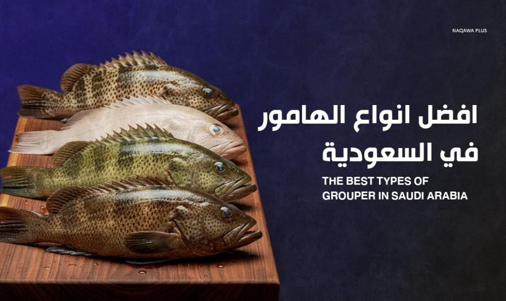 نظرة شاملة على أفضل أنواع الهامور في السعودية