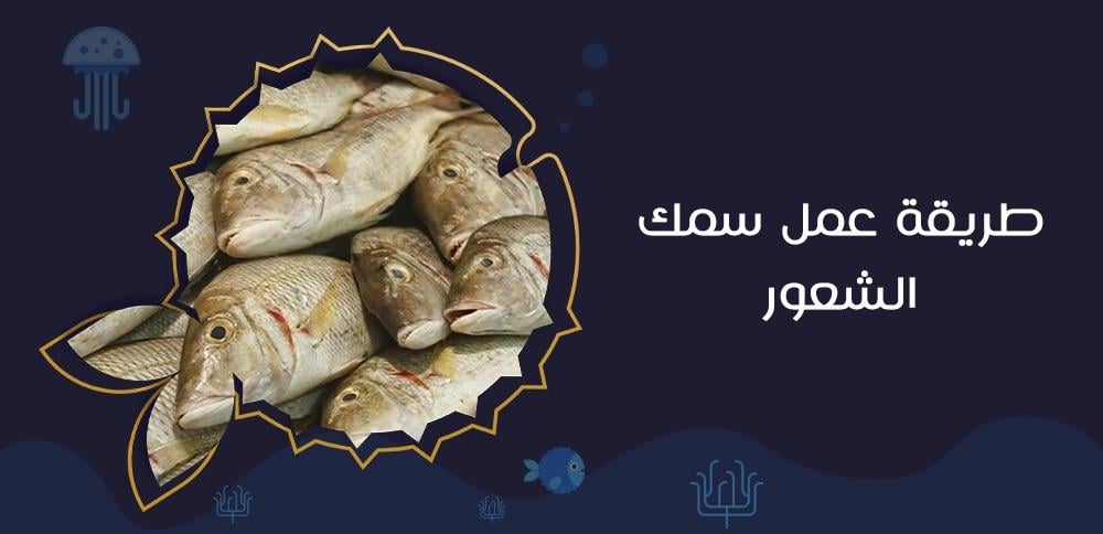 طريقة عمل سمك الشعور