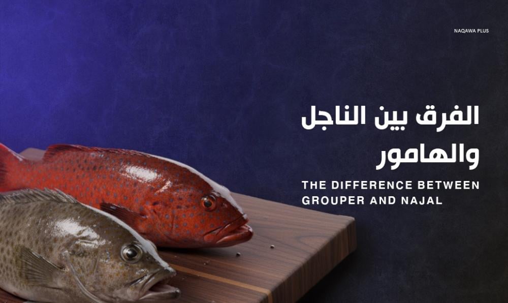 الفرق بين الناجل والهامور وأهم الاختلافات الدقيقة بينهما