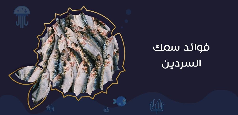 فوائد سمك السردين