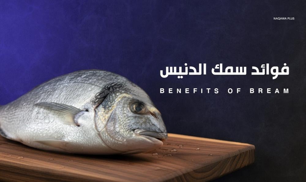 فوائد سمك الدنيس مصدر غني بالعناصر الغذائية لتعزيز الصحة