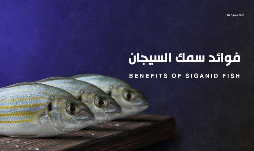 فوائد سمك السيجان | مصدر طبيعي للصحة والطاقة