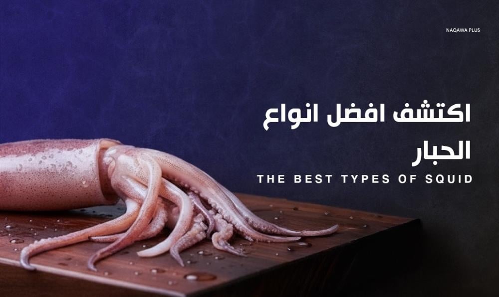 تعرف على انواع الكاليماري وطريقة طهي كل نوع وفوائده