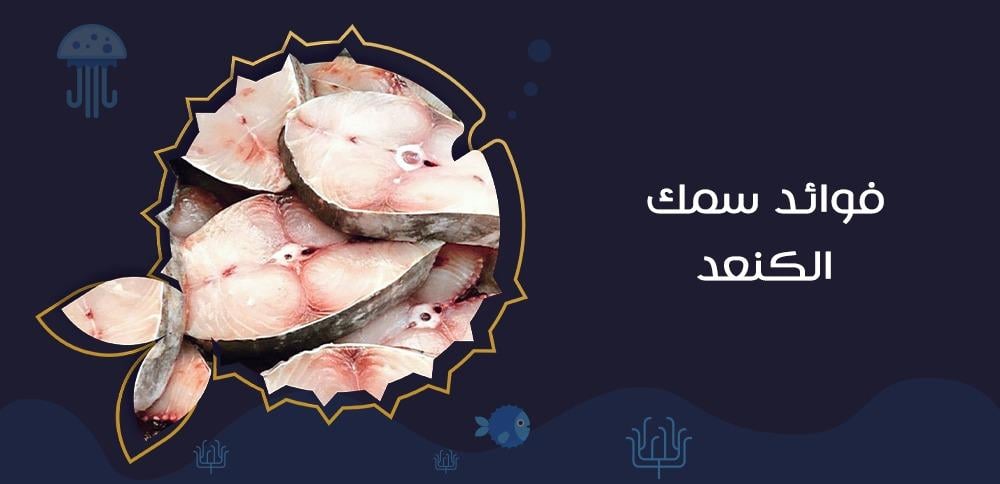 فوائد سمك الكنعد