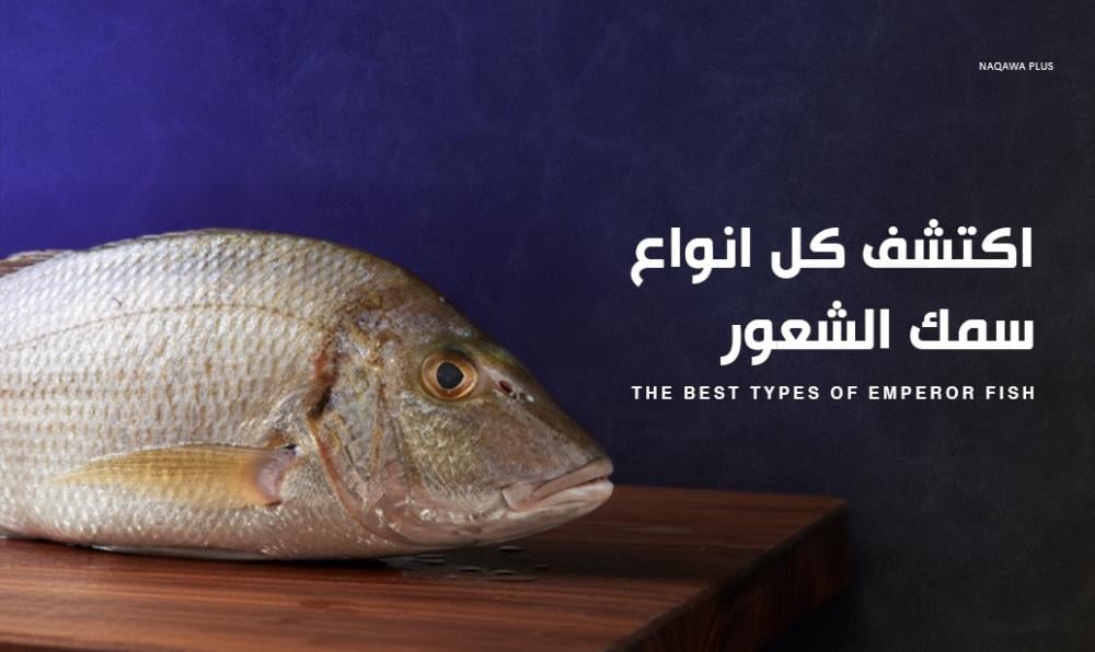 تعرف على أنواع سمك الشعور بالصور ومميزاته