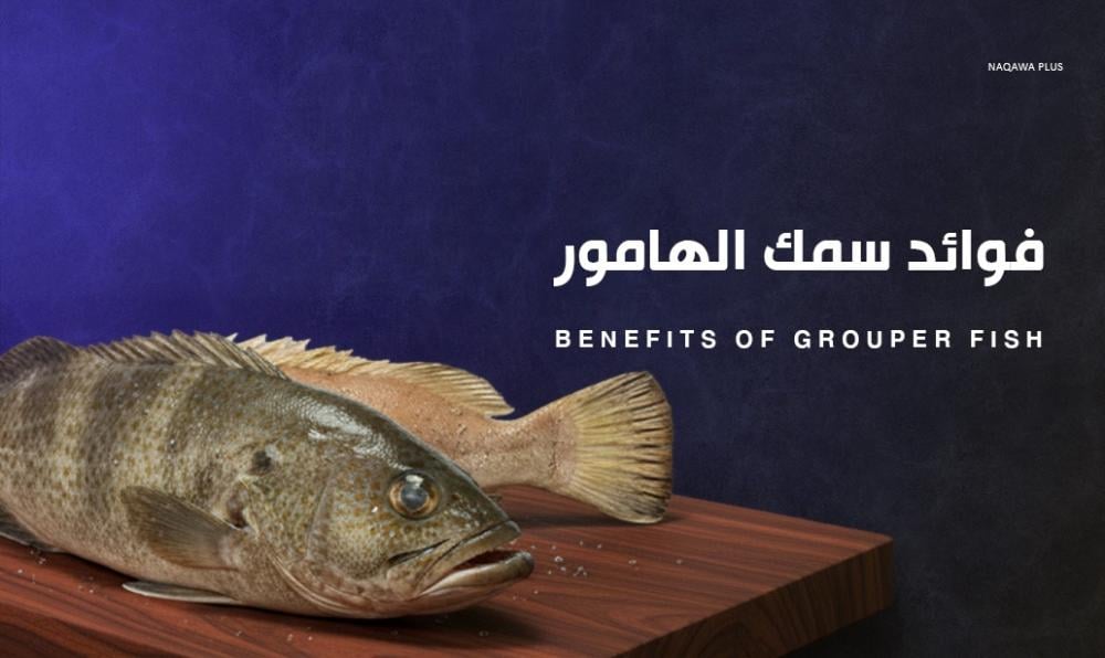 فوائد سمك الهامور لصحة مثالية