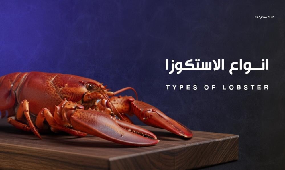 استكشف انواع الاستاكوزا بالصور وكيفية اختيارها