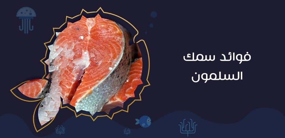 فوائد سمك السلمون