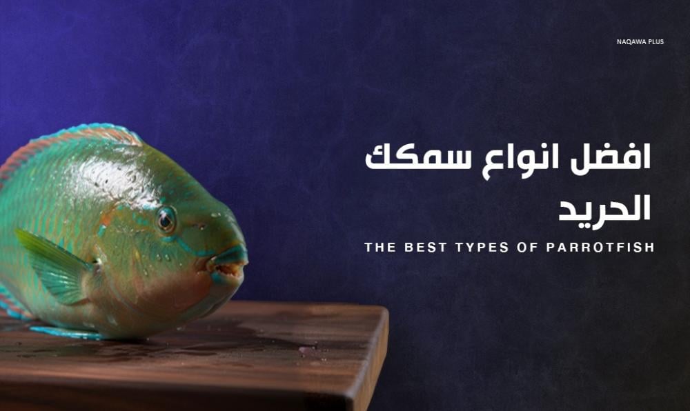 افضل انواع سمك الحريد لعشاق المأكولات البحرية