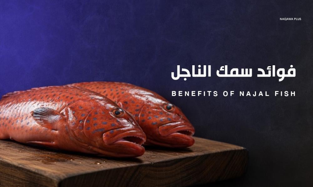 اكتشف فوائد سمك الناجل المليء بالعناصر الغذائية