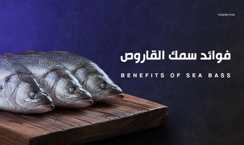 فوائد سمك القاروص | مصدر غني بالبروتين وأحماض أوميغا 3