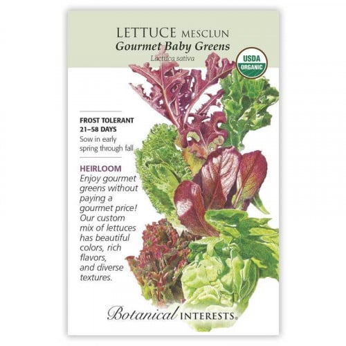 بذور خس منوع جورميه عضوي - Lettuce Mesclun Grmt Baby Seeds