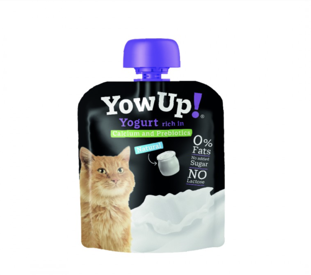 Plain yogurt cheap for cats