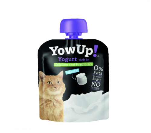 Cats and outlet yogurt