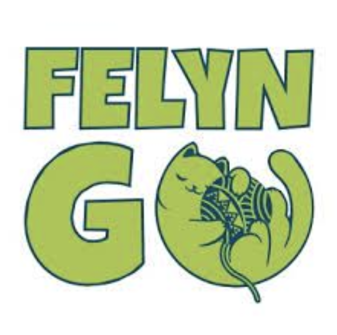 فيلين قو - FELYN GO