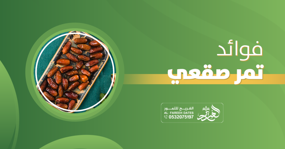 فوائد تمر صقعي : كنز من الطاقة والنكهة في تمرة واحدة!