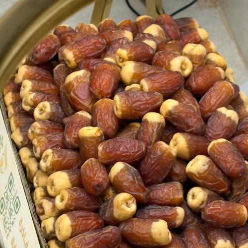 صقعي نوادر