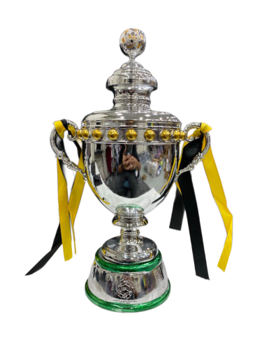 كأس دوري روشن السعودي