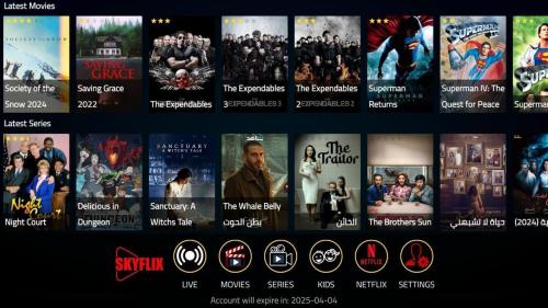 اشتراك سكاي فيلكس Sky flix لمدة سنة + ٣ شهور مجانا