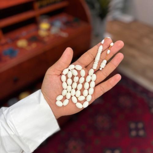 عظم جمل d1