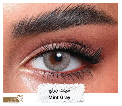 بيلا ايليت الشهرية - منت قراي Mint Gray