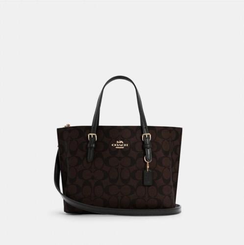 Coach( كوتش مولي تشيري بني اسبريسو )