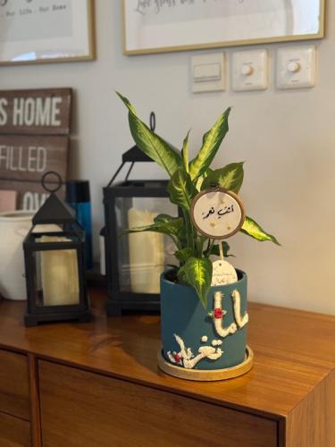 نبتة و تغريسة بحوض مطرز