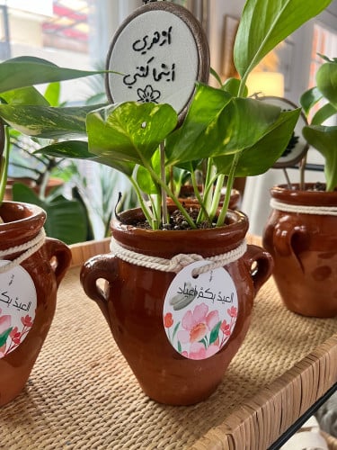 نبتة مع تغريسة مطرزة