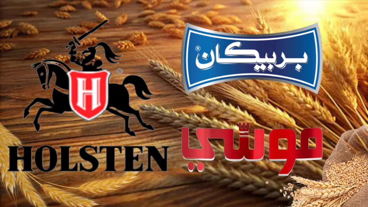 مشروبات الشعير