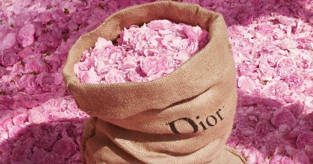 عطر ديور مس ديور روز ان روزس 100 مل