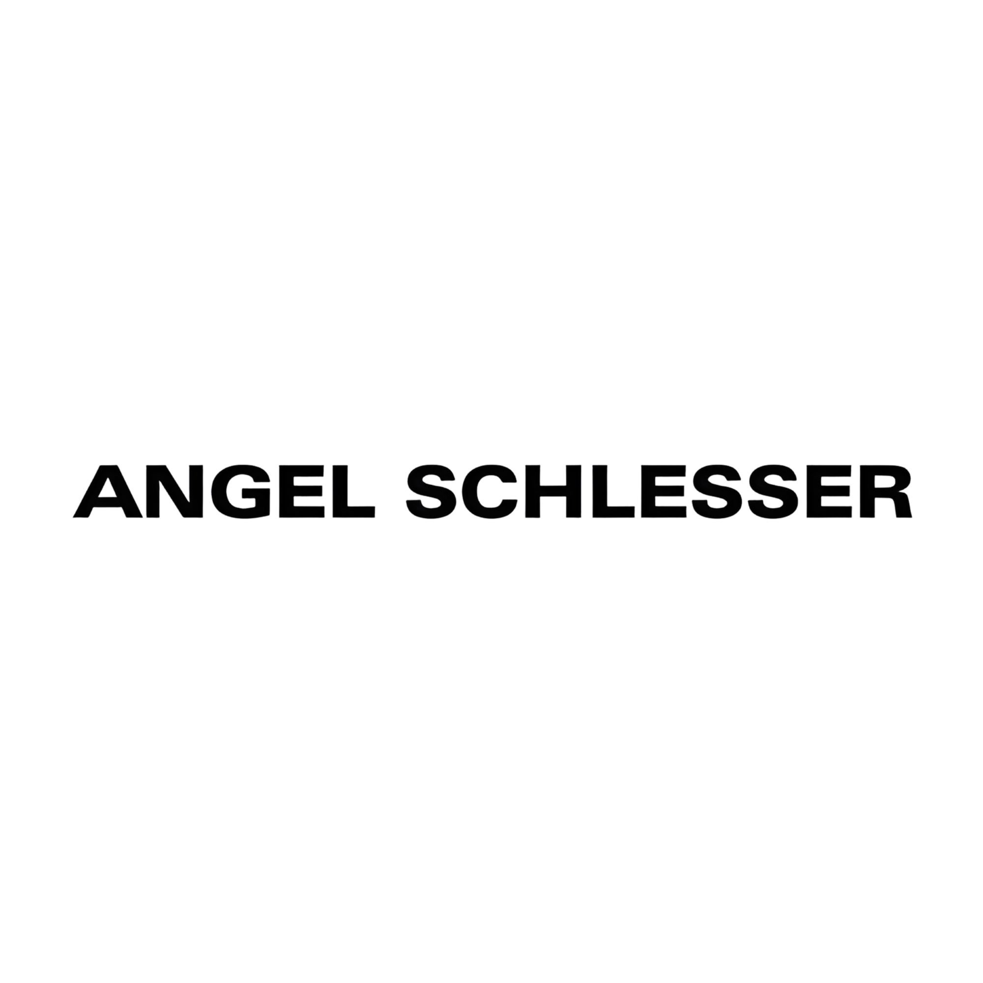 انجل شليسر Angel Schlesser