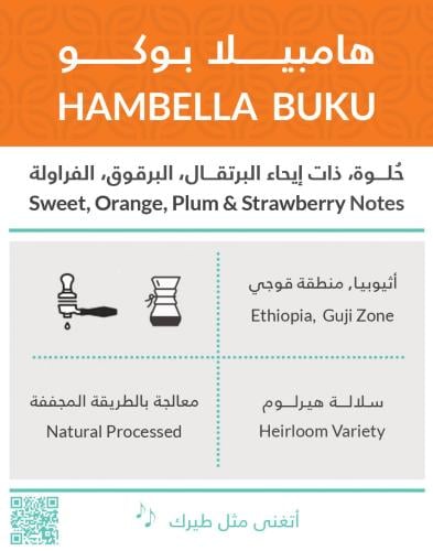 كفة هامبيلا بوكو اثيوبي