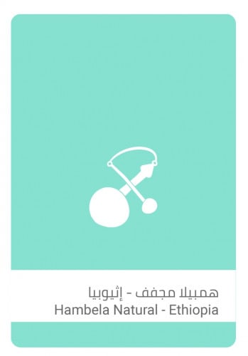 سلالات هامبيلا مجفف