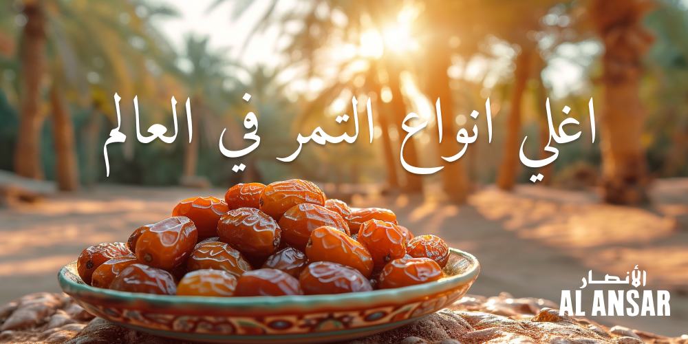 أغلى أنواع التمور في العالم