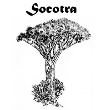 Socotra