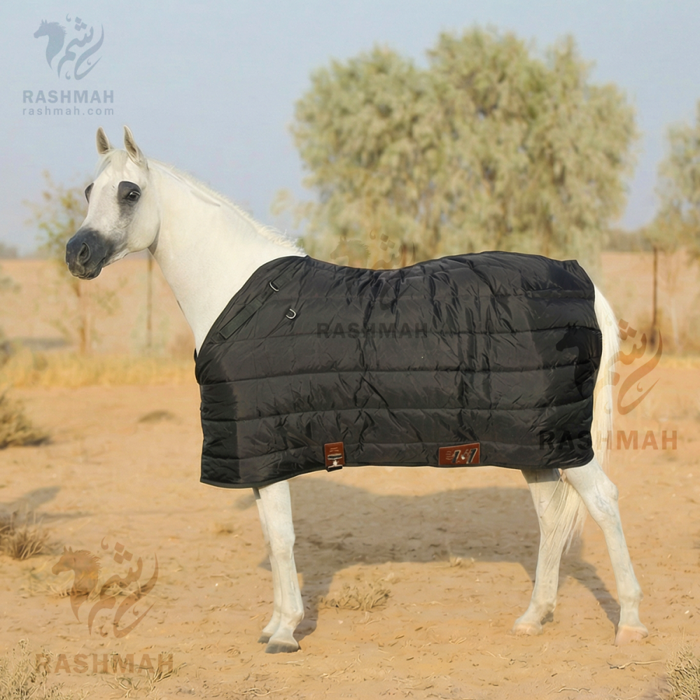 بطانية شباط لون اسود ( متوسطة الوزن )SB  Medium Weight Stable Blanket