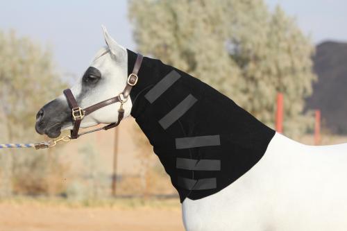 عراقة رقبة black