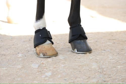 حذاء الحماية (بوت) Bell Boot