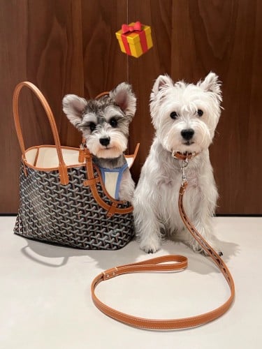 Goyard Tote Pet bag, Bags