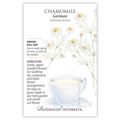 بابونج ألماني - German Chamomile