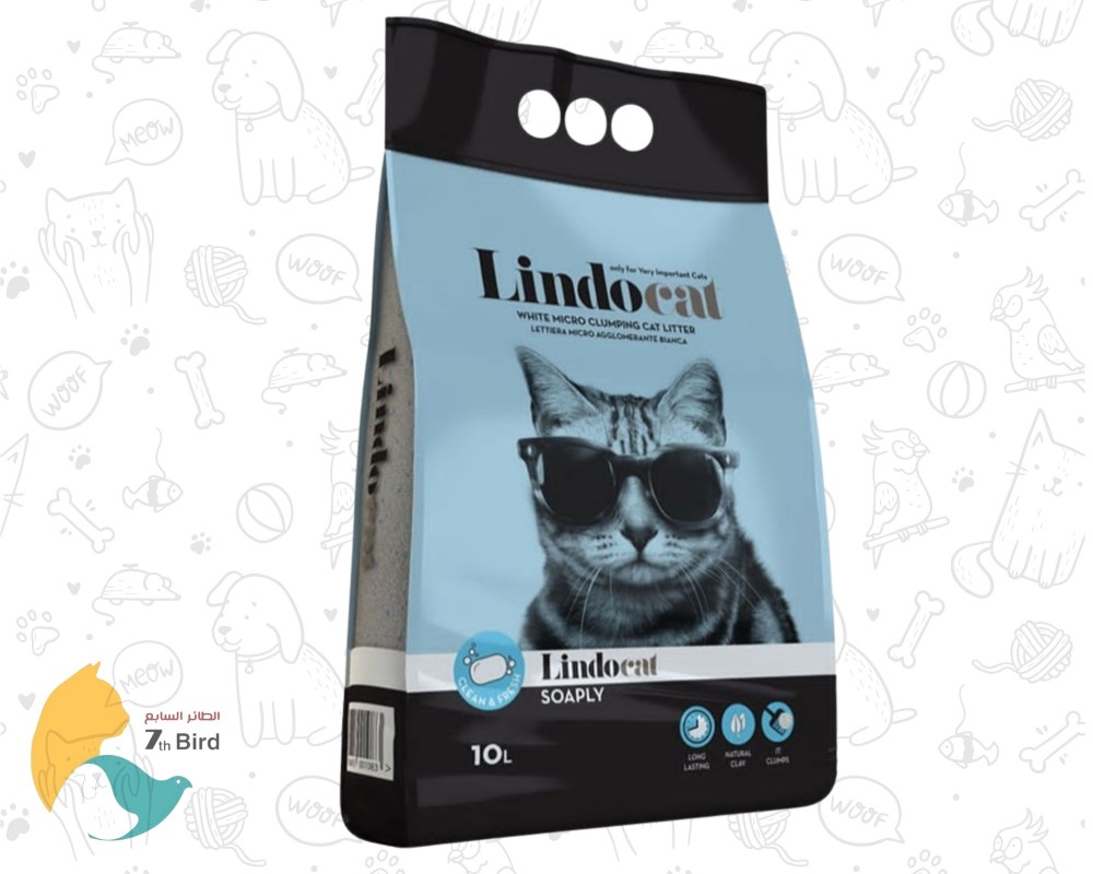 Lindo cat litter online