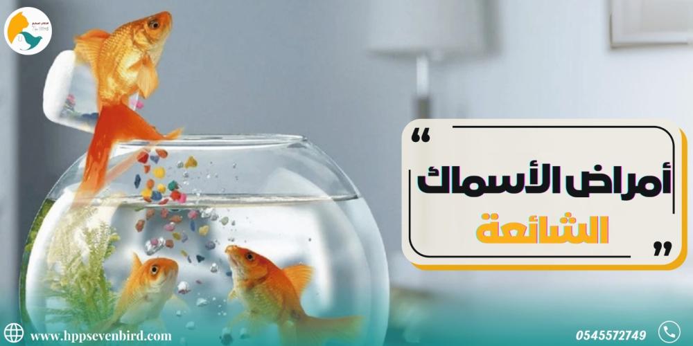 الأمراض الشائعة لدى أسماك الزينة الأسباب والعلاج