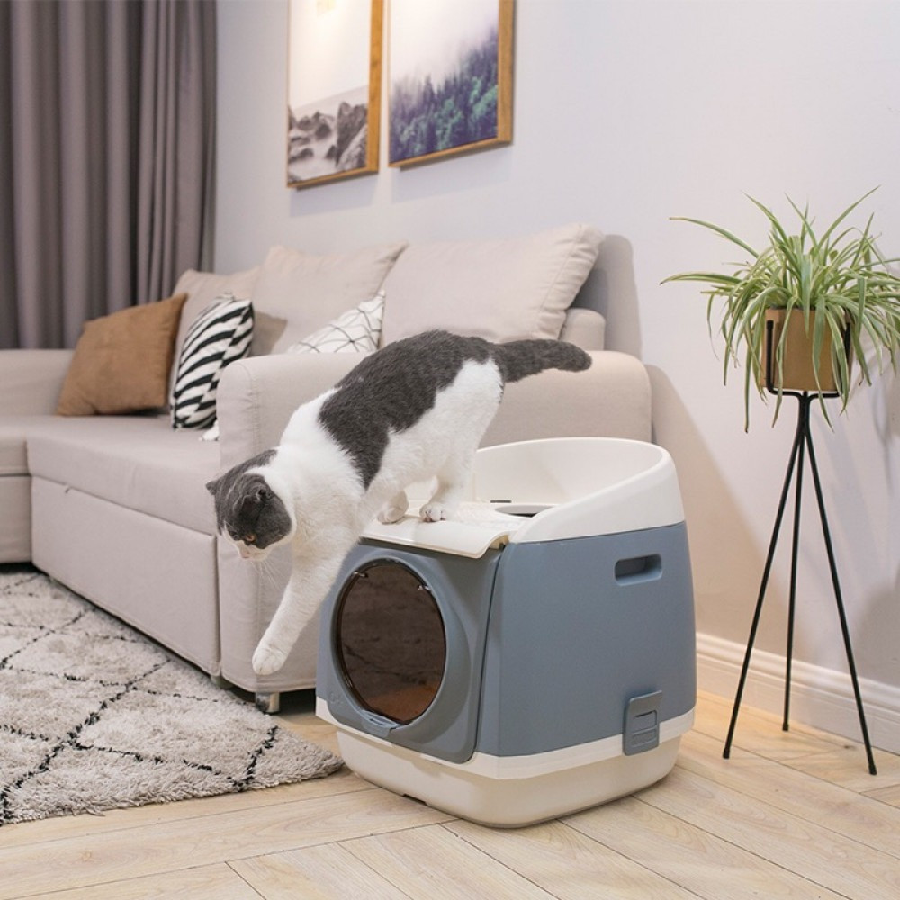 Dadypet cat litter box hotsell