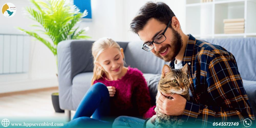 كيف تحافظ على هدوء الحيوانات الأليفة في العيد