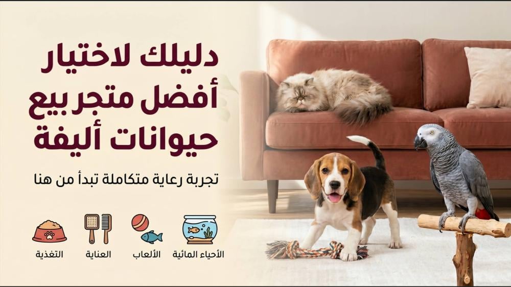 متجر بيع حيوانات