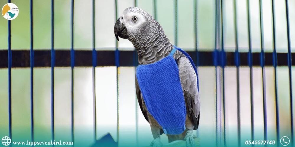 الطيور وتنظيف الريش بين الغريزة والاضطراب